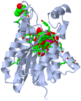 Image Biol. Unit 1 - sites