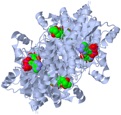 Image Biological Unit 2