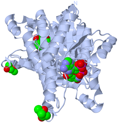 Image Biological Unit 3