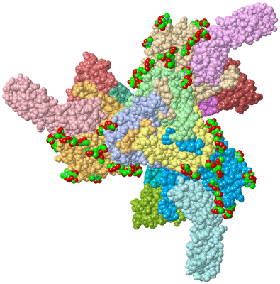 Image Asym./Biol. Unit