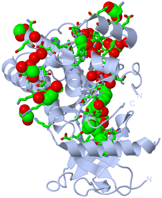 Image Biol. Unit 1 - sites