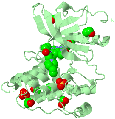 Image Biological Unit 2