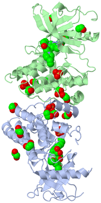 Image Biological Unit 3