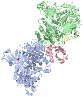 Image Asym./Biol. Unit