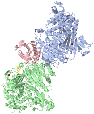 Image Asym./Biol. Unit