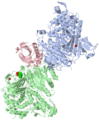 Image Asym./Biol. Unit