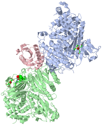 Image Asym./Biol. Unit - sites