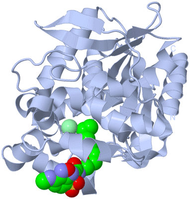 Image Biological Unit 1