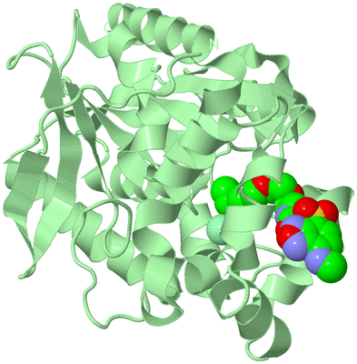 Image Biological Unit 2