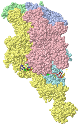 Image Asym./Biol. Unit