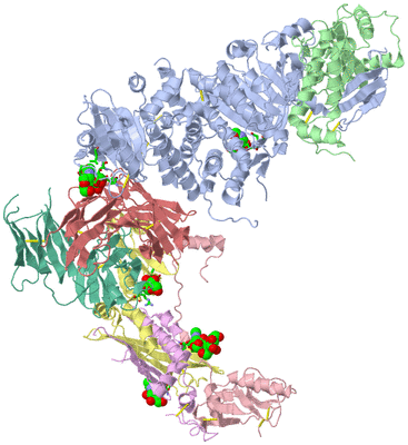 Image Biol. Unit 1 - sites