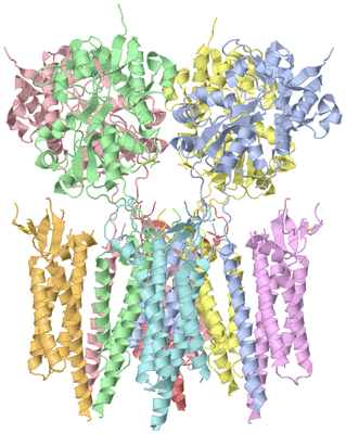 Image Asym./Biol. Unit