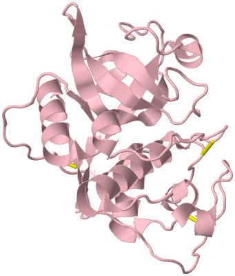 Image Biological Unit 3