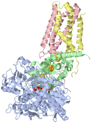 Image Biological Unit 1