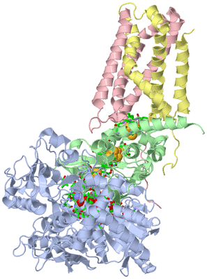 Image Biol. Unit 1 - sites