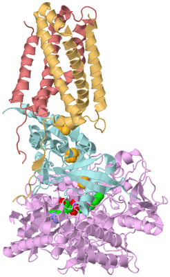 Image Biological Unit 2