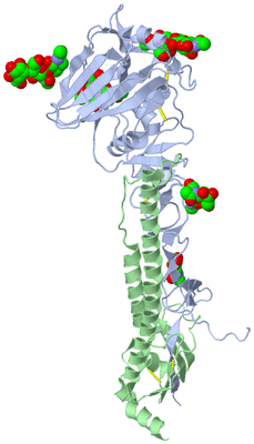 Image Biological Unit 1