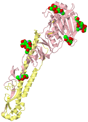 Image Biological Unit 2