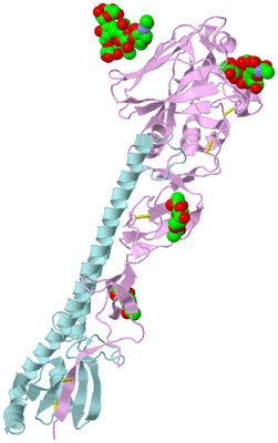 Image Biological Unit 3