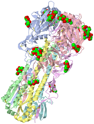 Image Biological Unit 4