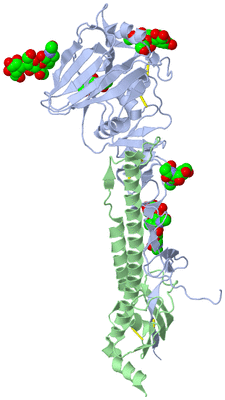 Image Biological Unit 1