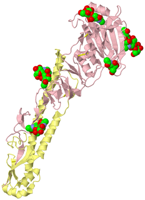 Image Biological Unit 2