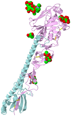 Image Biological Unit 3