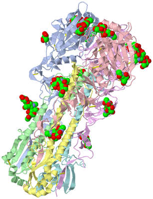 Image Biological Unit 4