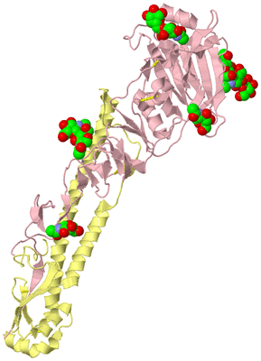 Image Biological Unit 2