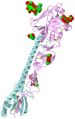 Image Biological Unit 3