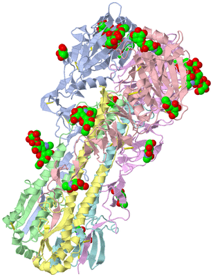 Image Biological Unit 4