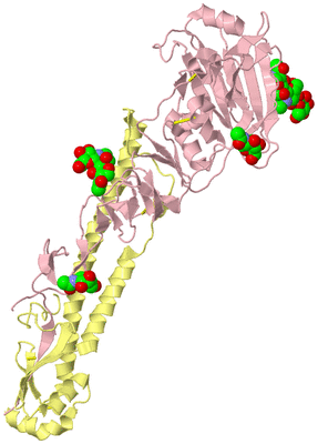 Image Biological Unit 2