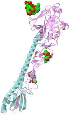 Image Biological Unit 3