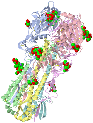 Image Biological Unit 4