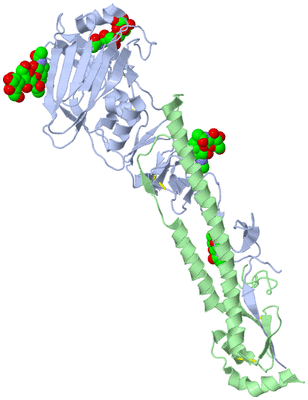 Image Biological Unit 1