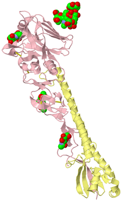 Image Biological Unit 2