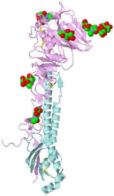 Image Biological Unit 3