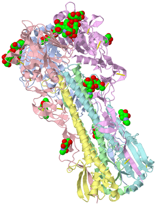 Image Biological Unit 4