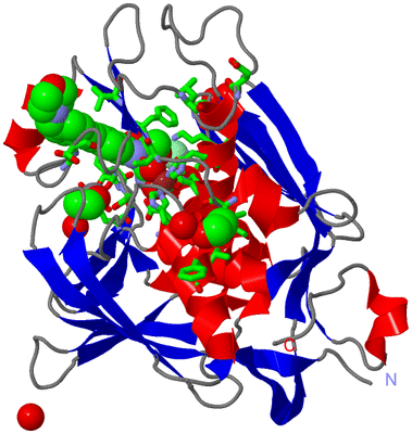 Image Asym./Biol. Unit - sites