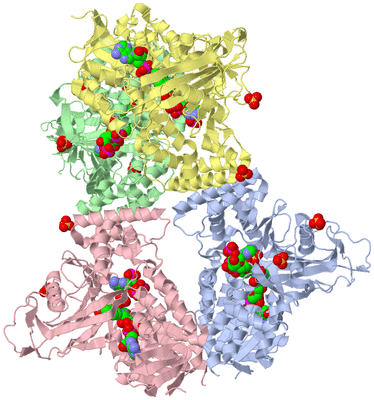 Image Asym./Biol. Unit