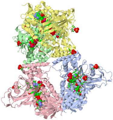 Image Asym./Biol. Unit - sites