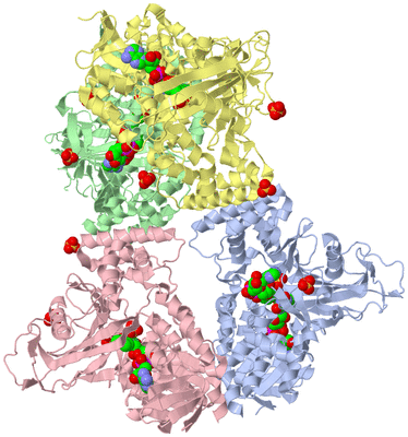 Image Asym./Biol. Unit