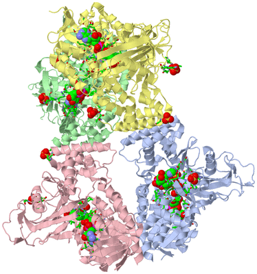 Image Asym./Biol. Unit - sites