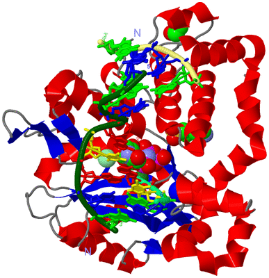 Image Asym./Biol. Unit