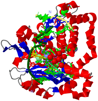 Image Asym./Biol. Unit - sites