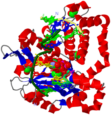 Image Asym./Biol. Unit