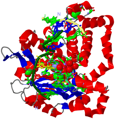 Image Asym./Biol. Unit - sites