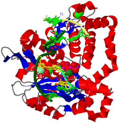 Image Asym./Biol. Unit