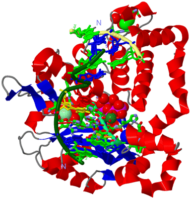 Image Asym./Biol. Unit - sites