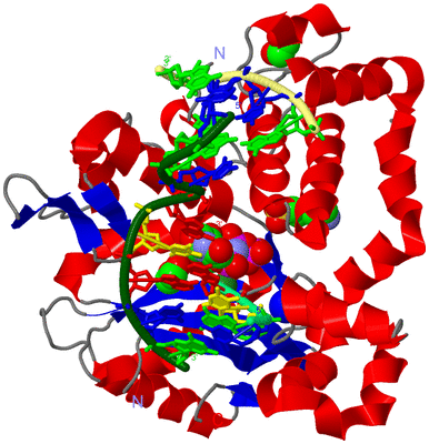 Image Asym./Biol. Unit